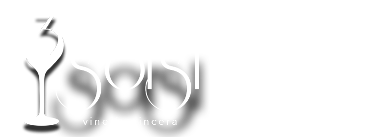 3Sorsi  Logo